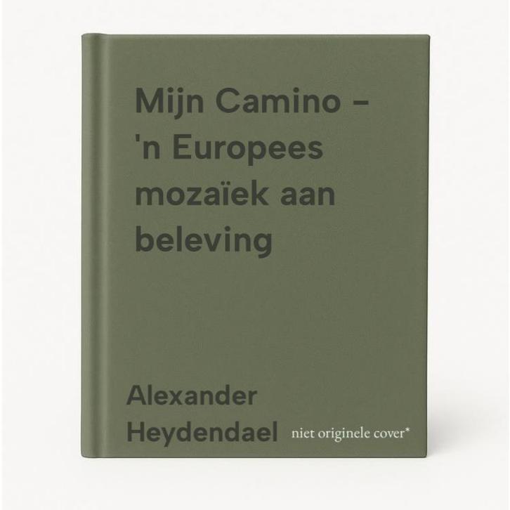 Mijn Camino - n Europees mozaïek aan beleving 9789077983935, Boeken, Reisgidsen, Zo goed als nieuw, Verzenden