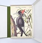Catesby / Edwards - Recueil de divers oiseaux - 1768-1976