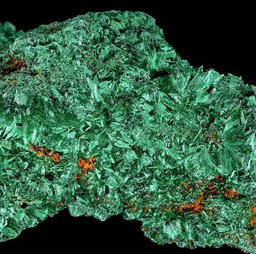 Hoogwaardige vezelachtige Malachietkristalcluster uit DR, Verzamelen, Mineralen en Fossielen