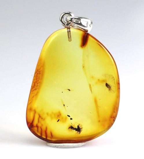 Authentieke Baltische barnsteen met fossiele insecten DRIE, Verzamelen, Mineralen en Fossielen