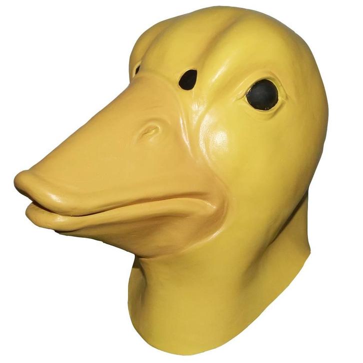 Eendenmasker jonge eend, Hobby & Loisirs créatifs, Articles de fête, Envoi