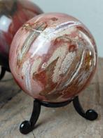 Versteende houten bollen - op standaard - Hoogte: 6 cm- 928