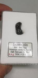 Sikhote Alin, zonder reserveprijs IJzer meteoriet - 6.4 g