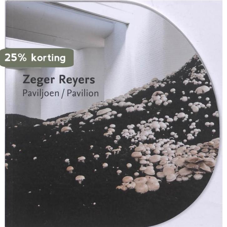 Zeger Reyers 9789085865735 Zeger Reyers, Livres, Art & Culture | Arts plastiques, Envoi
