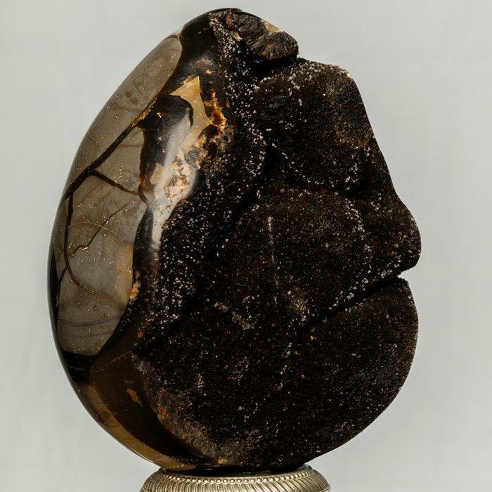 Septaria Wild Black Crystals Fine Large Wild Septaria Black, Verzamelen, Mineralen en Fossielen