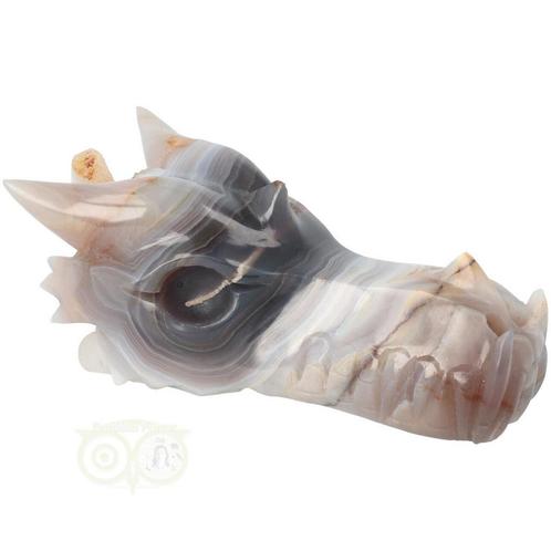 Agaat Geode Drakenschedel 682 gram, Handtassen en Accessoires, Edelstenen, Nieuw, Verzenden