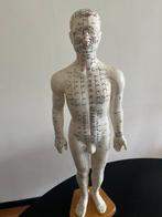 Anémomètre - Plastique - 1950-1960 - Modèle dacupuncture