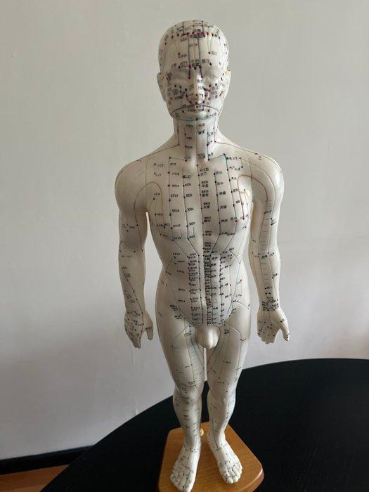 Anémomètre - Plastique - 1950-1960 - Modèle dacupuncture, Antiek en Kunst, Curiosa en Brocante