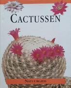 Cactussen 9789057910104, Boeken, Gelezen, D. Manson, Verzenden
