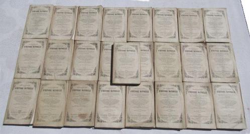 Charles dOrbigny - Dictionnaire dHistoire Naturelle - 1849, Antiek en Kunst, Antiek | Boeken en Manuscripten