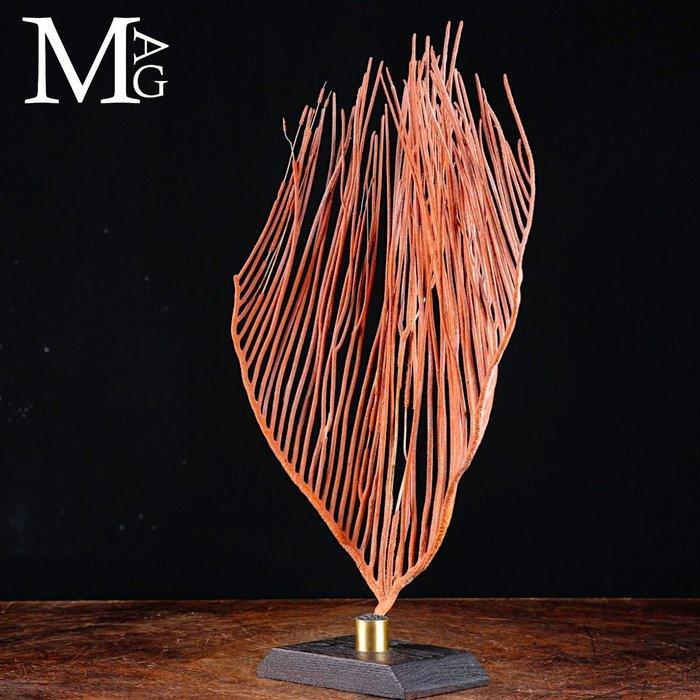 Prachtige rode Gorgonia op een houten en messing basis, Antiquités & Art, Curiosités & Brocante