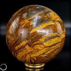 Kracht in beweging – Natuurlijke tijgeroog-kogel van de