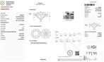 1 pcs Diamant (Naturelle) - 1.03 ct - Rond - E - VS2 -, Handtassen en Accessoires, Edelstenen, Nieuw