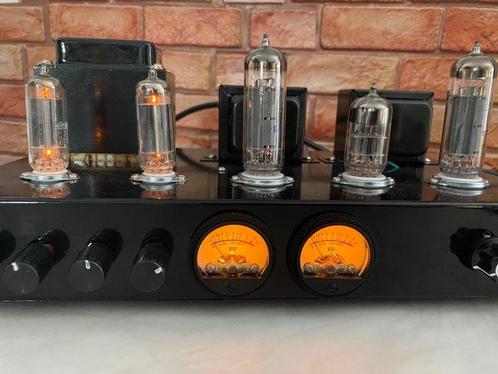 6P15-El84 - Maatgemaakt - Geen veilingreserve, Audio, Tv en Foto, Radio's
