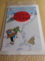 Tintin - Sérigraphie tintinimaginatio - Tintin au Tibet -, Boeken, Nieuw