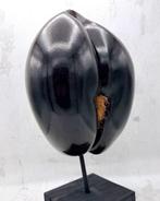 Coco de mer Taxidermie volledige montage - Lodoicea