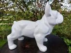 Beeld, French bulldog white garden or for indoor - 39 cm -, Antiek en Kunst