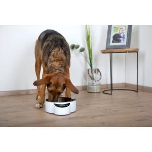 Gamelle eyenimal pet bowl balance intégrée 1,8 l, blanc, Animaux & Accessoires, Accessoires pour chiens