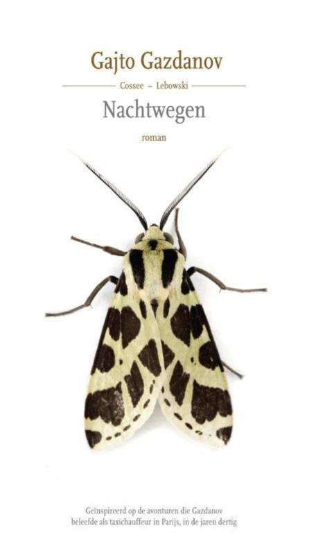 Nachtwegen 9789048819195 Gajto Gazdanov, Livres, Romans, Envoi