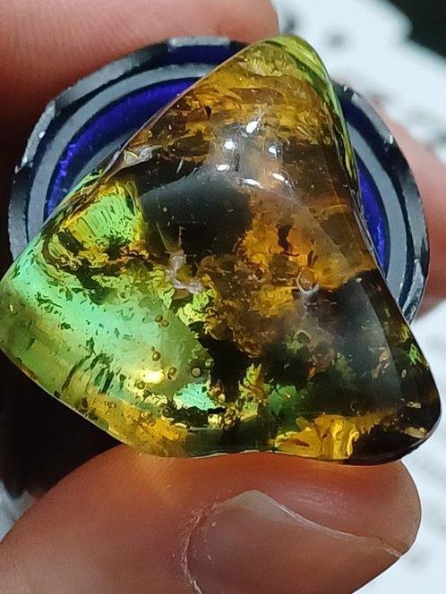 Amber - Barnsteen - Ambra del Baltico - 3.7 cm - 3.5 cm, Verzamelen, Dierenverzamelingen