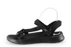 Skechers sandalen in maat 37 Zwart | 5% korting, Kleding | Dames, Skechers, Verzenden, Zwart, Sandalen of Muiltjes