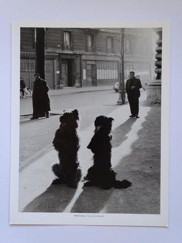 Robert Doisneau (1912-1994) - Dogs, Rue de la Chapelle, Antiek en Kunst