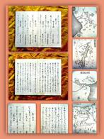 Samurai-Familien der Minamoto & Taira, Kriegs-Adel - Taktik