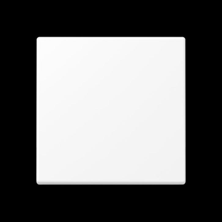 Jung A RANGE Élément De Contrôle Intelligent - A1700BFWWM, Bricolage & Construction, Électricité & Câbles, Envoi