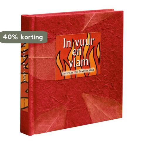 In Vuur En Vlam 9789045309422 Eefje Mikkers, Boeken, Stripverhalen, Zo goed als nieuw, Verzenden