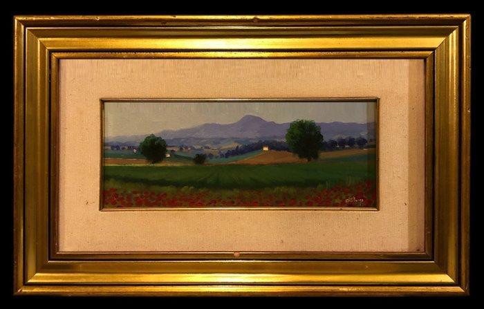 Giuliano Albergo (XX) - Paesaggio delle Marche: Il Monte San, Antiek en Kunst, Kunst | Schilderijen | Klassiek