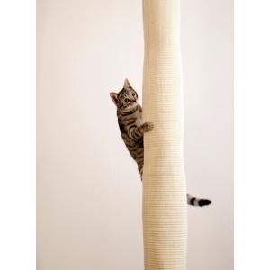 Klimzak climber, 240 cm, beige - kerbl, Animaux & Accessoires, Accessoires pour chats