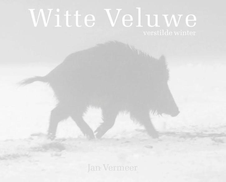 Witte Veluwe 9789081696517 Jan Vermeer, Boeken, Kunst en Cultuur | Fotografie en Design, Gelezen, Verzenden