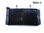 Radiateur Suzuki DL 1000 V-Strom 2002-2006 (DL1000), Verzenden, Nieuw