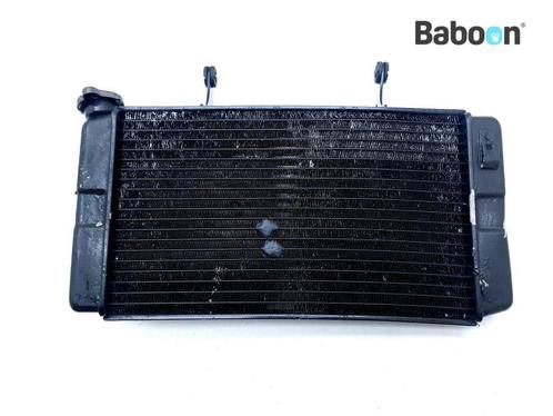 Radiateur Suzuki DL 1000 V-Strom 2002-2006 (DL1000), Motoren, Onderdelen | Suzuki, Verzenden