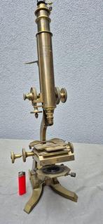 Monocular compound microscope - monoculaire