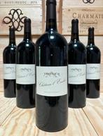 2007 Château l’Enclos cuvée Triple A - Bordeaux - 6 Magnums, Nieuw