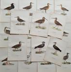 Lot. of 18 sheets - Fratelli WRIGHT, Magnus, Wilhelm e