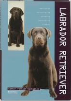 Labrador Retriever 9789062489886, Livres, Animaux & Animaux domestiques, Verzenden, Esther Verhoef, N.v.t.