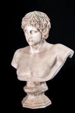 sculptuur, Busto di Antino - 72 cm - Marmer, Antiek en Kunst, Antiek | Keramiek en Aardewerk