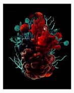 Elena Paraskeva - Blooms Of The Atrium #2, Antiek en Kunst