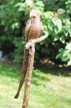 Sculpture, parrot on tree - 78 cm - Bronze