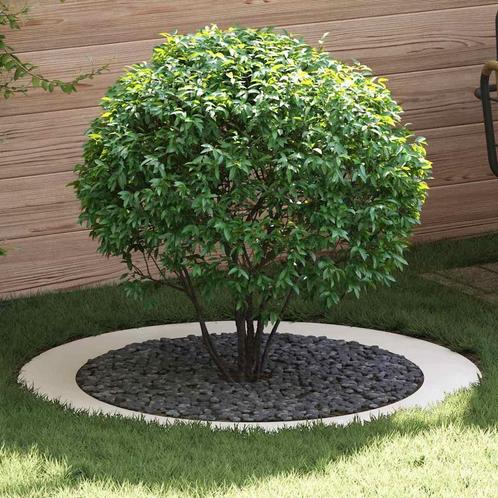 vidaXL Platte boomring Wit Ø90 / 120 cm Staal, Tuin en Terras, Bloempotten, Nieuw, Verzenden