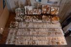 Uitgebreide schelpen- en slakkencollectie Taxidermie, Nieuw