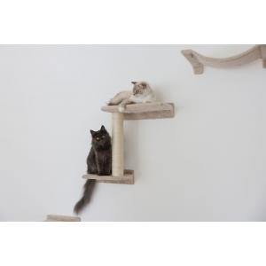 Klimwand zugspitze, beige, 5-delig - kerbl, Animaux & Accessoires, Accessoires pour chats