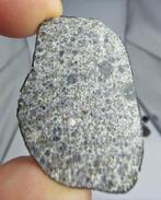 Meteoriet: El Menia L5, waargenomen val in 2023. Super vers, Verzamelen