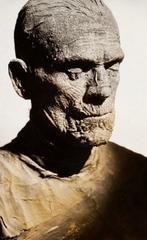 Universal - THE MUMMY 1932 BORIS KARLOFF VINTAGE STILL, Nieuw