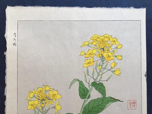 Rape blossom or Nanohana or Natane - Kawarazaki Shodo, Antiek en Kunst, Antiek | Overige Antiek