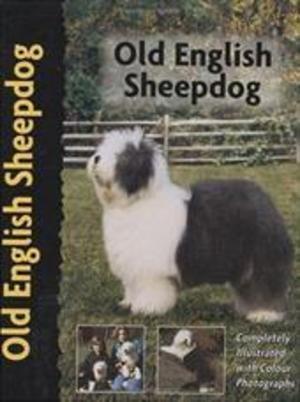 Old English Sheepdog, Livres, Langue | Langues Autre, Envoi