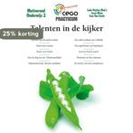 Practicum - Talenten in de kijker 9789077343722 Ludo Heylen, Verzenden, Zo goed als nieuw, Ludo Heylen