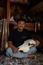 Geen minimumprijs - Prachtige koeienschedel met, Antiek en Kunst